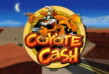 Cashback Program